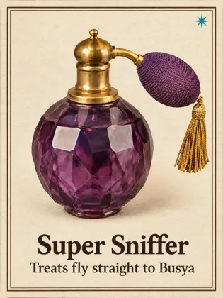 Super Sniffer: treats fly straight to Pixie